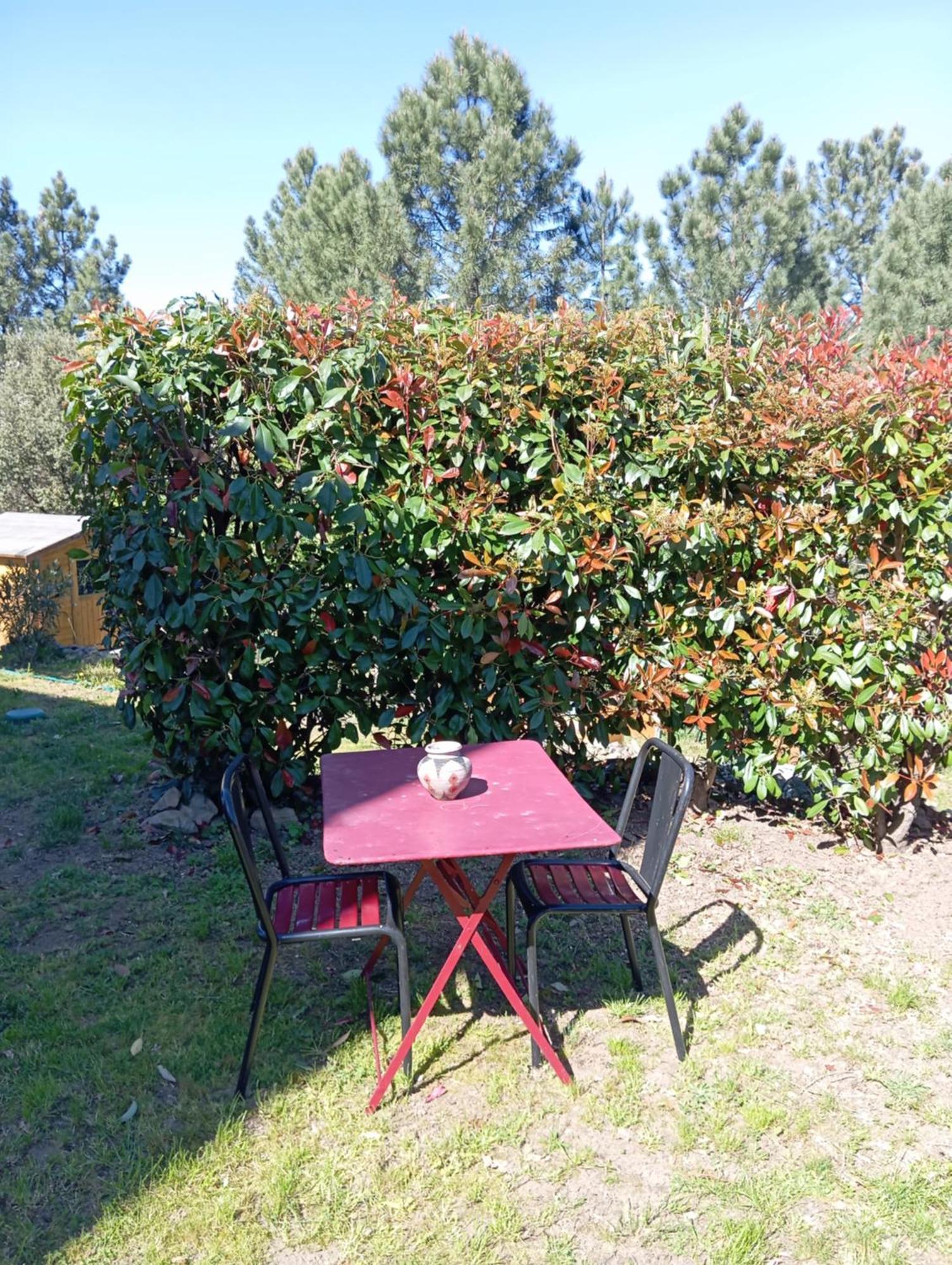 Apartamento Le Ptit Crouzon Prades  Exterior foto